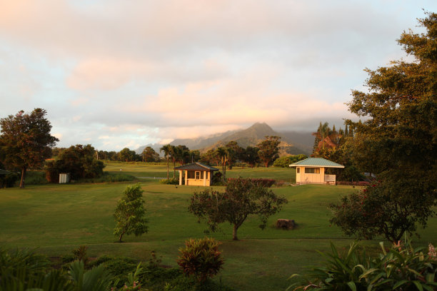 普莱维尔·考艾王子图片下载