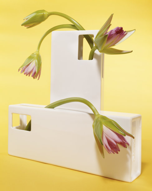 花在花瓶图片下载