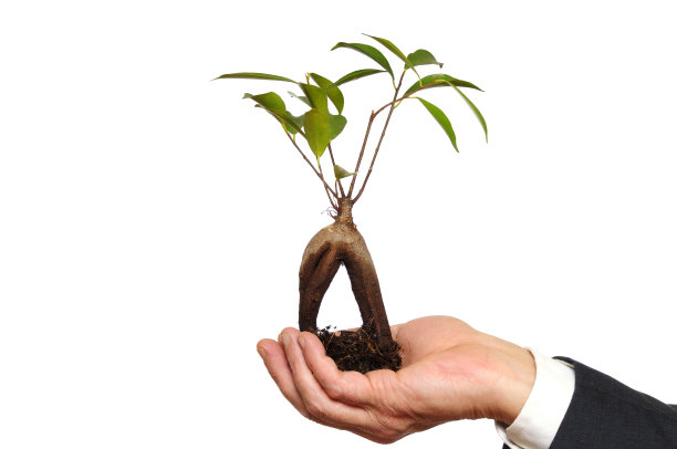 牵手新生命图片下载