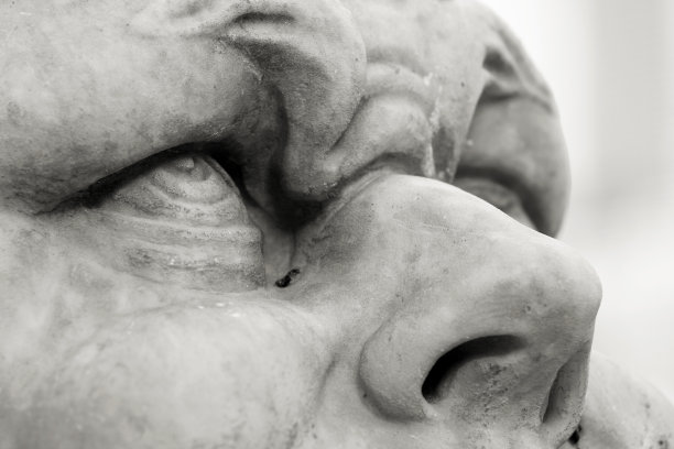 喷泉的万神殿雕像细节在单色图片下载