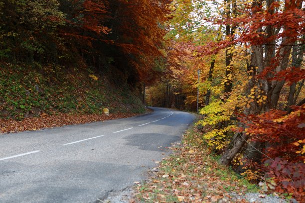 秋天的道路图片下载