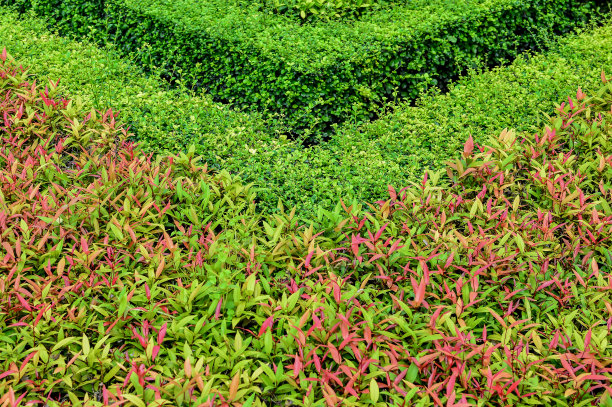 美丽的花园。图片下载