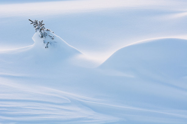 雪的背景图片下载