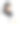 自信地摆着双臂的阿拉伯女医生图片下载