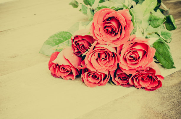 木制背景上的玫瑰图片下载