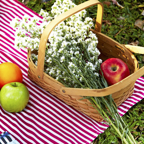 野餐篮图片下载