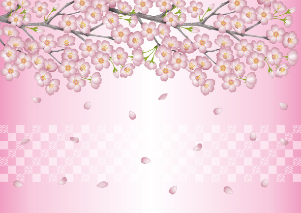 樱花的背景。图片下载