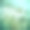 蓬松的气球——春天蒲公英的种子图片下载