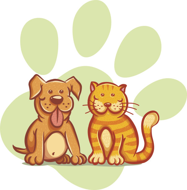 猫和狗图片下载