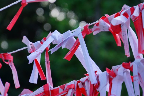 纸上财富Omikuzi图片下载