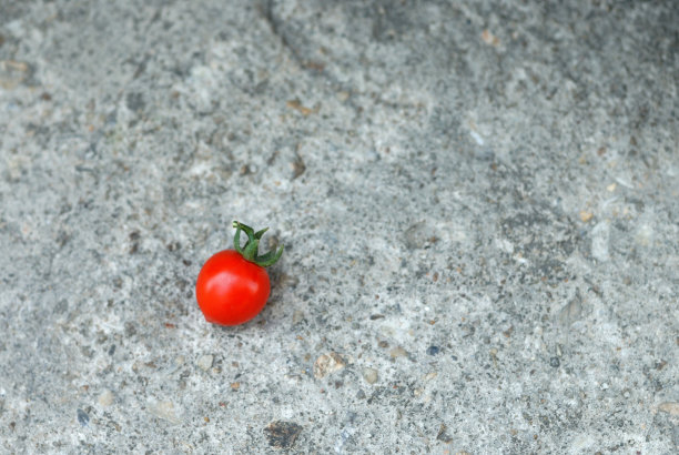 红色的西红柿图片下载