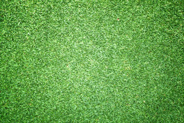 高尔夫球场草坪图片下载