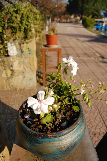 花盆图片下载