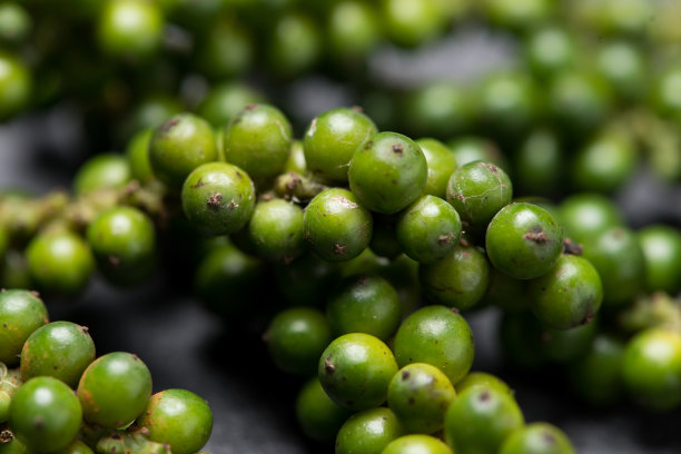黑色背景上的新鲜青椒。图片下载
