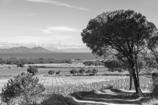 美丽的地中海沿岸图片下载