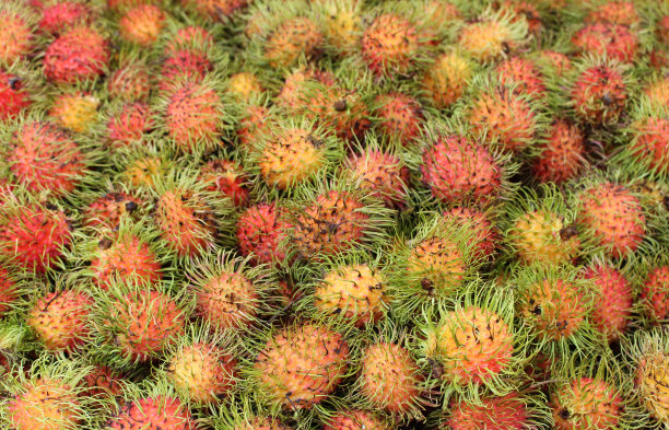 泰国新鲜市场的红毛丹图片下载