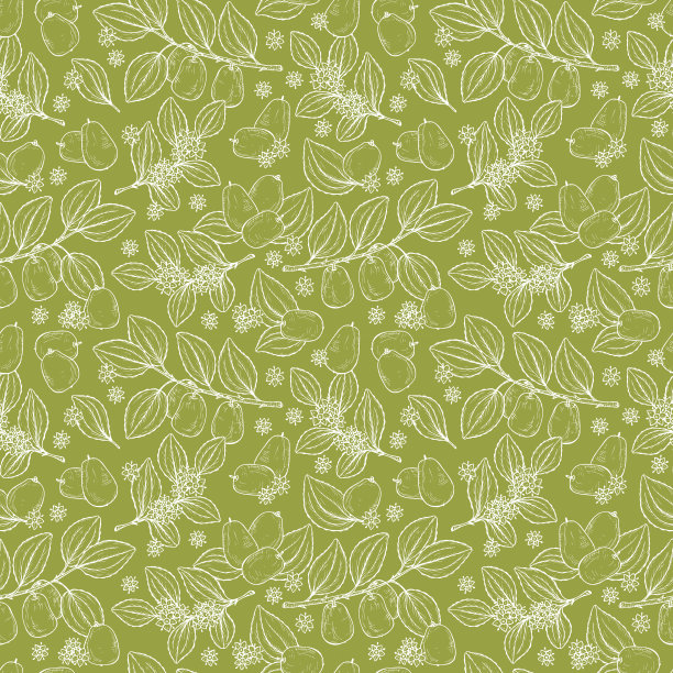 花卉无缝模式。异国情调的热带水果枣，有时枣，红枣，中国枣，韩国枣，印度枣。叶、花、果实。药用植物图片下载