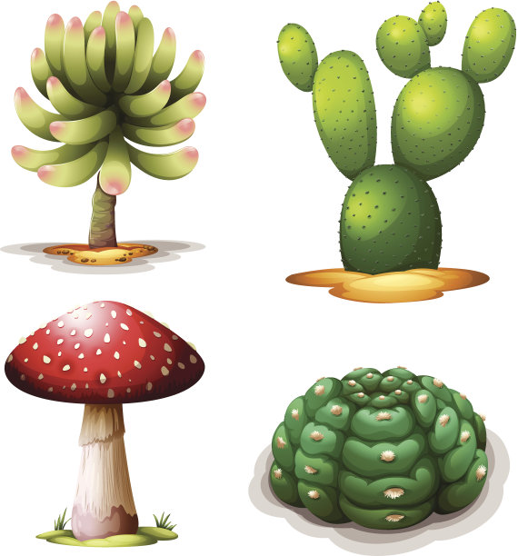 蘑菇和仙人掌图片下载