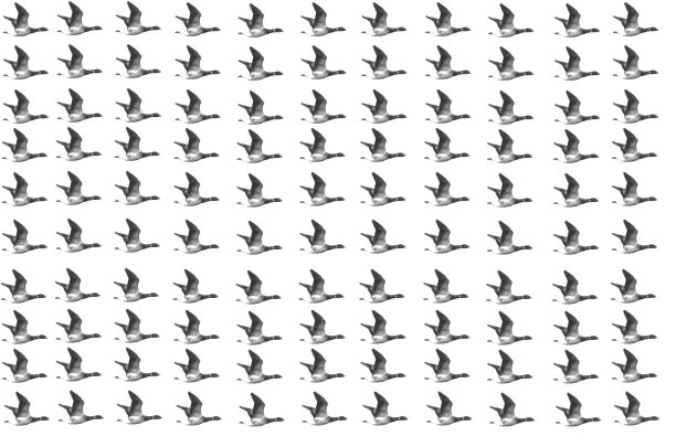 鸟群印花图片下载