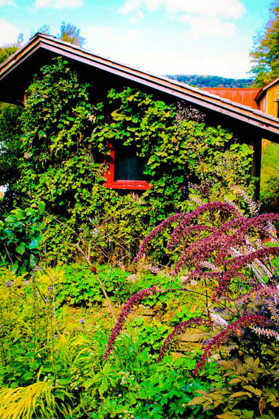 带有藤蔓的农场建筑图片下载