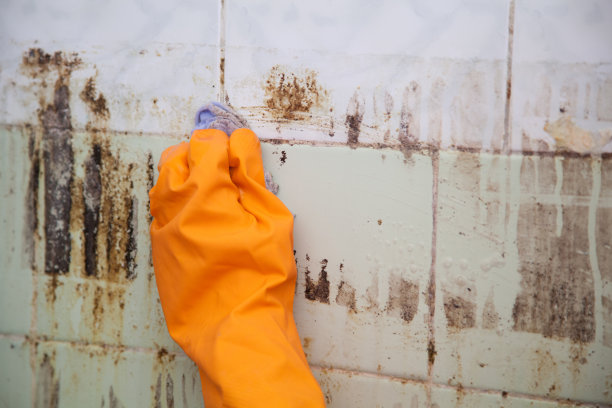 洗肮脏的瓷砖图片下载