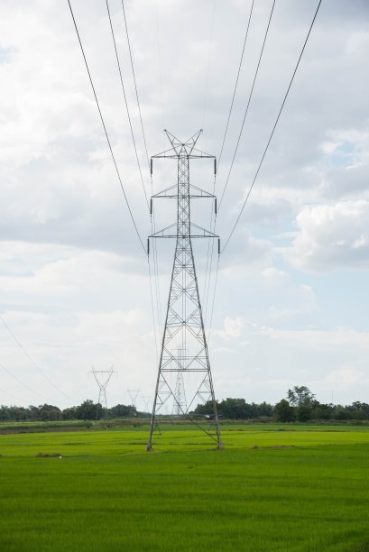 电线杆在碧绿的稻田与蓝天图片下载