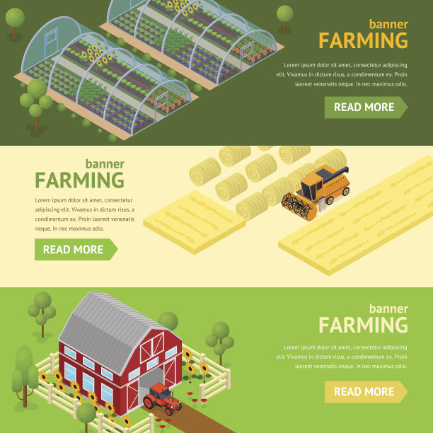 农场旗帜卡片水平设置。向量图片下载