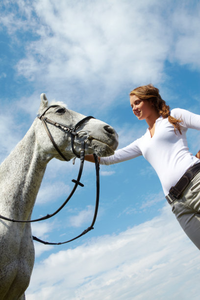 马匹护理图片下载