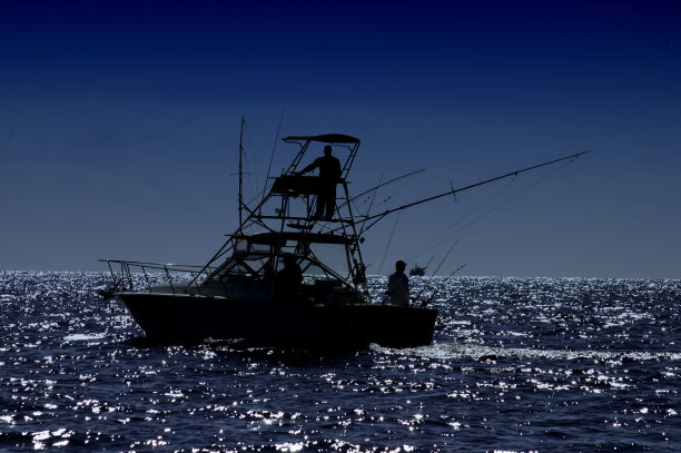 在海里钓鱼图片下载