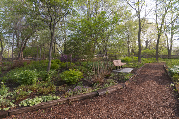 花园中的小径和长凳图片下载