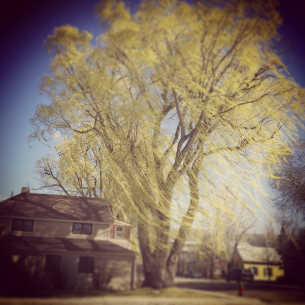 风的时间图片下载