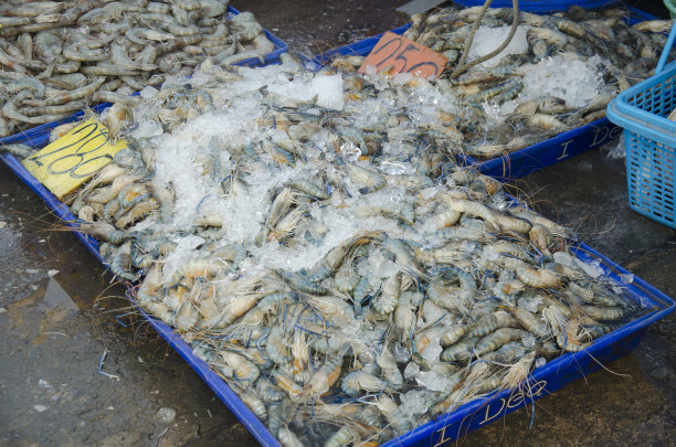 泰国人和游客从商贩那里购买海鲜图片下载