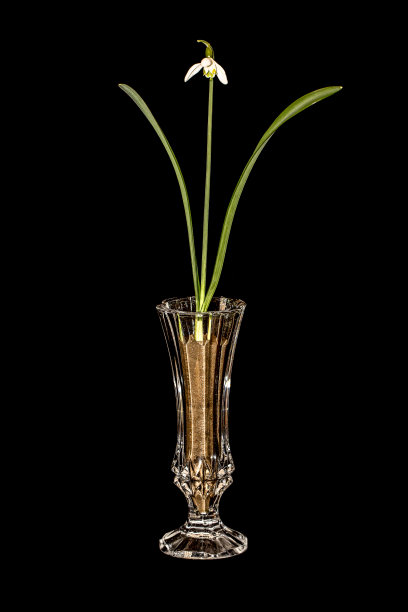 玻璃杯里的雪花图片下载