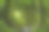 树木图片素材ID：154114018
