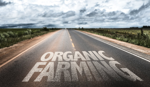 有机耕作写在乡间小路上图片下载