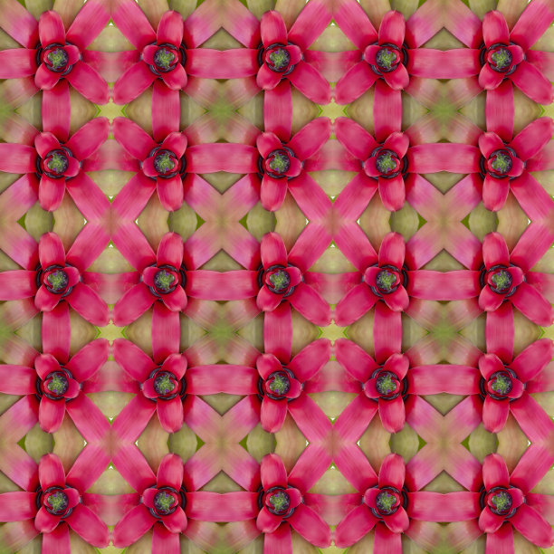 凤梨无缝模式背景图片下载