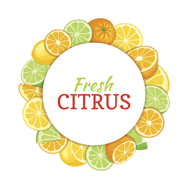 圆形的彩色框架，由美味的热带橙子、酸橙和柠檬水果组成。矢量插图。圈柑橘，橙子，酸橙，柠檬框。成熟新鲜水果作设计果汁，早餐食品饮料图片下载