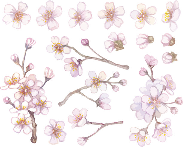 浪漫樱花图片素材ID：154130746