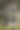 白色框架和绿色藤蔓的窗户图片下载