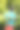 一个孩子把花束藏在背后的后视图图片下载