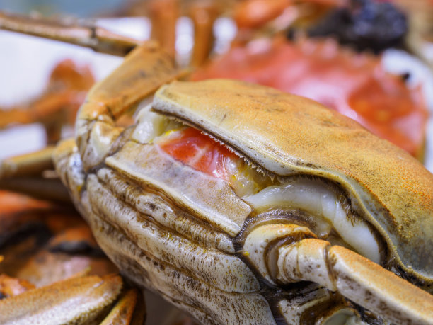 宏大闸蟹，中国美食，秋冬美味。图片下载