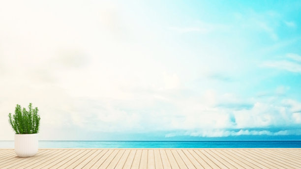 露台海景植物图片下载