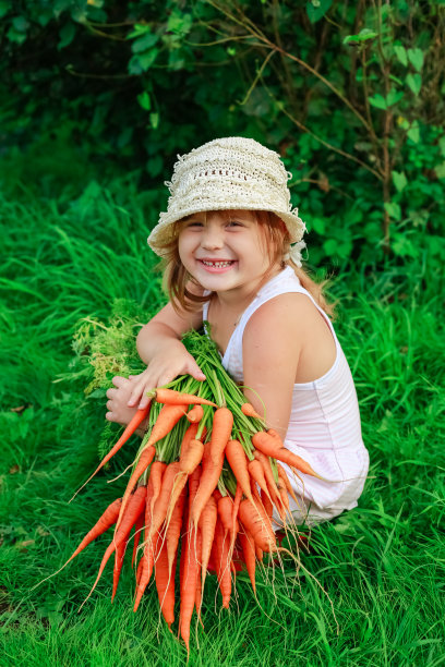 拿着一堆新鲜胡萝卜的女孩图片下载