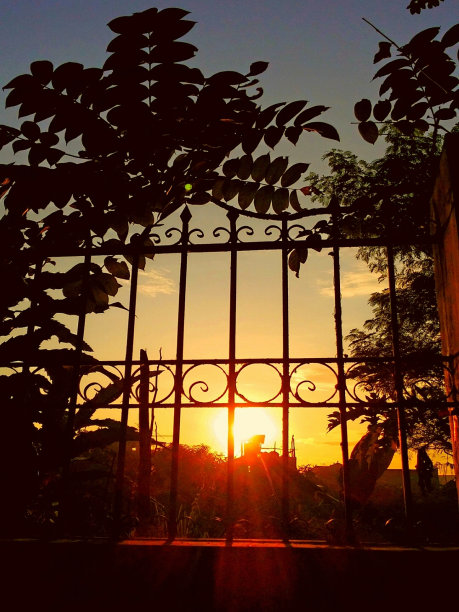 早上好日出图片下载