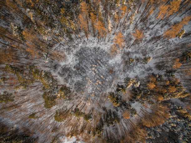 航拍一张冰雪覆盖的冬季森林图片下载