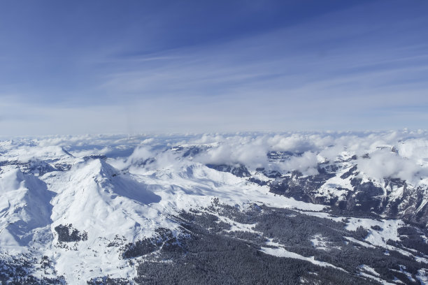 山处女。图片下载