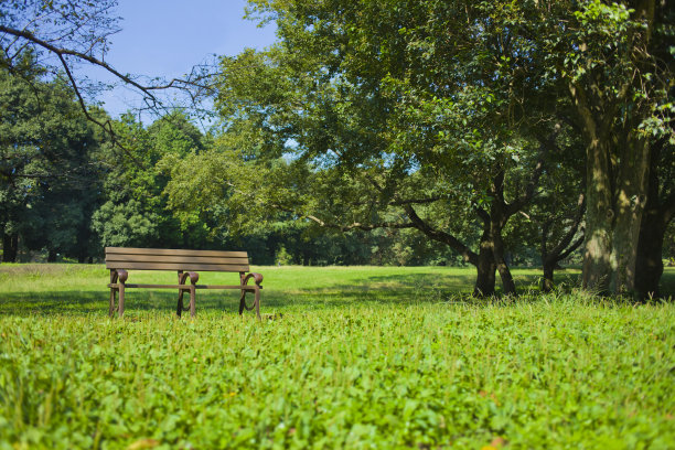 公園のベンチ图片下载
