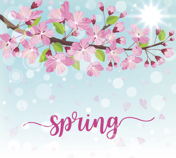 春天的刻字。开花的树早与春天的花。矢量插图。图片下载
