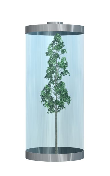 绿色能源-电池里面有一棵树-孤立的白色素材图片