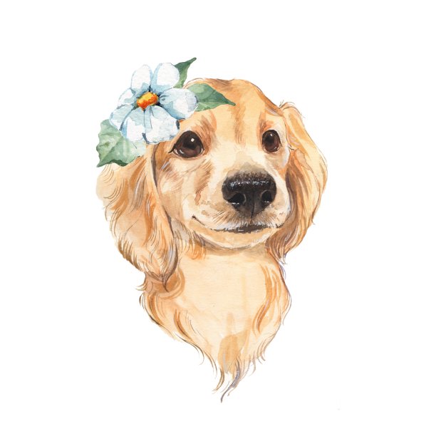 可爱的卡通狗。水彩插图。图片下载